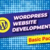 WordPress Website development